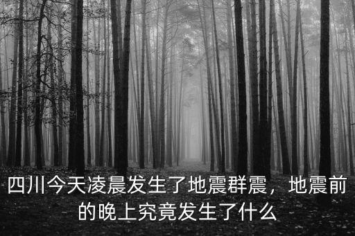 四川今天凌晨發生了地震群震，地震前的晚上究竟發生了什么