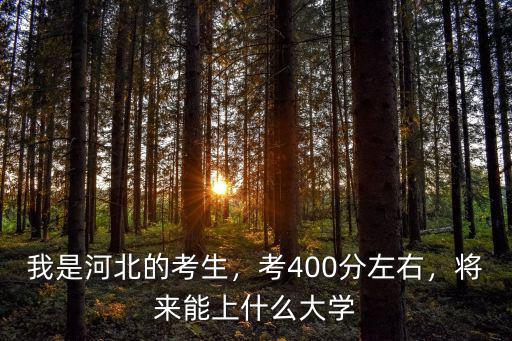 河北考生上北大分?jǐn)?shù)線是多少,我是河北的考生