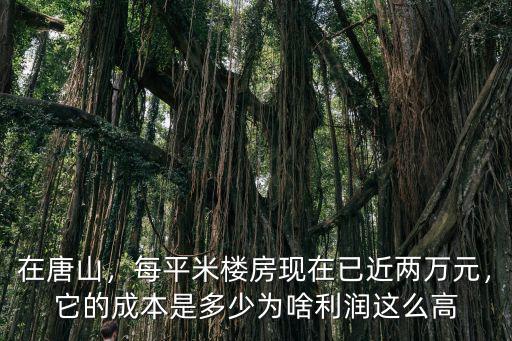 唐山一般建筑成本要多少錢(qián),建1平米房子要多少成本