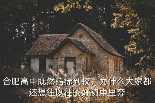 合肥76中中學到校指標分為多少,合肥高中既然指標到校
