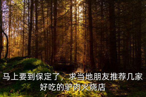 馬上要到保定了，求當地朋友推薦幾家好吃的驢肉火燒店