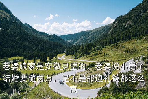 老婆娘家是安徽靈璧的，老婆說小舅子結婚要隨兩萬，是不是那邊禮錢都這么高
