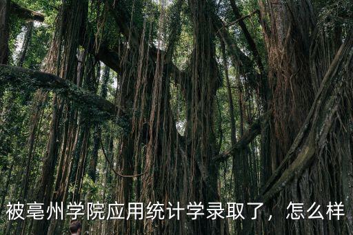 亳州學院專升本有函授多少分,函授成人大專有必要再升本嗎