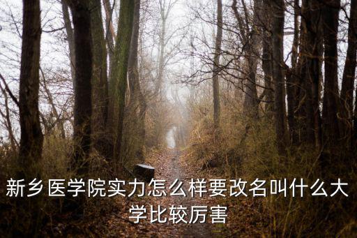 新鄉華凱國際怎么樣了,新鄉醫學院實力怎么樣