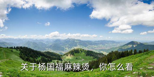 關于楊國福麻辣燙，你怎么看