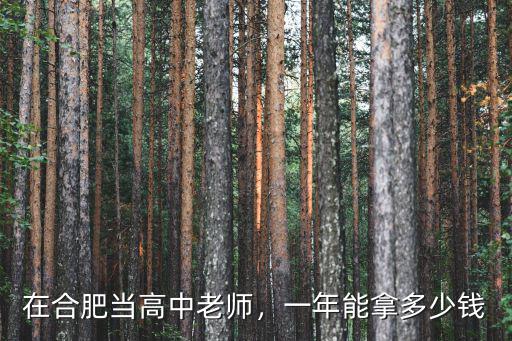 合肥一年測試經驗多少錢,在合肥當高中老師