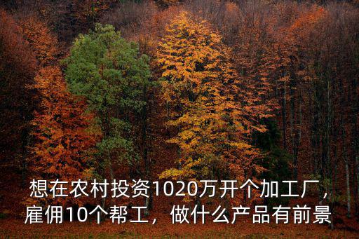 想在農村投資1020萬開個加工廠，雇傭10個幫工，做什么產品有前景