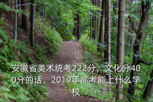 安徽省美術(shù)統(tǒng)考222分，文化分400分的話，2019年高考能上什么學(xué)校