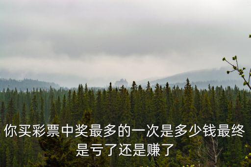 合肥彩票中獎最多多少錢,你中過多少錢的彩票