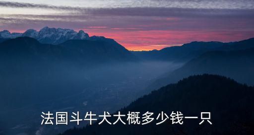 法國斗牛犬大概多少錢一只