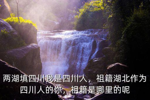 四川姚姓祖籍是哪里,祖籍是哪里的呢