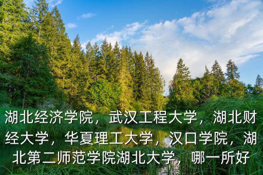 湖北經濟學院用英文怎么說,湖北經濟學院