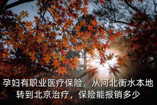 河北衡水醫保卡可以報銷多少,保險能報銷多少