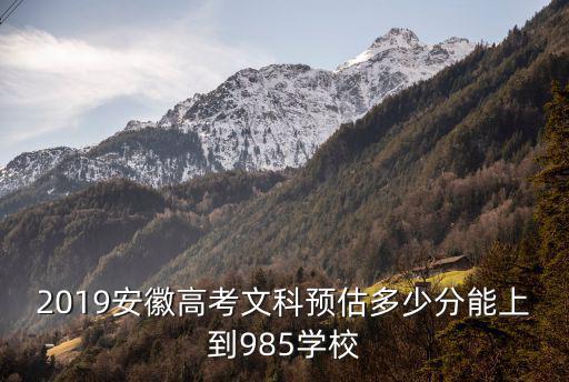 安徽文科考生多少分能上985,安徽文科生多少分能上985