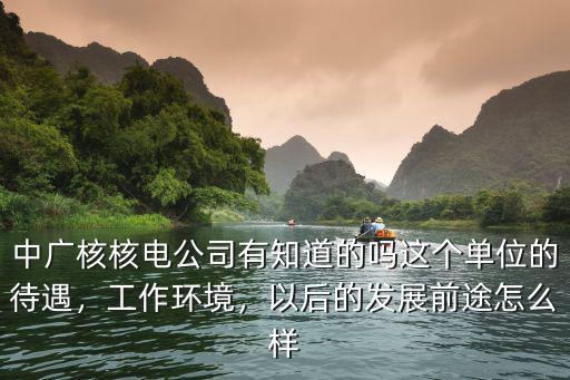 武漢核電公司待遇怎么樣,核電廠的工作待遇怎么樣