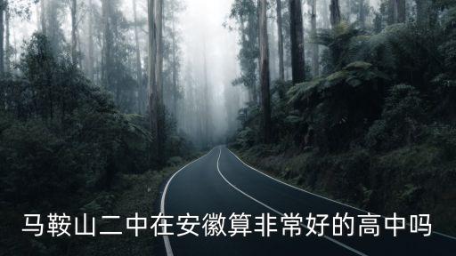 馬鞍山二中在全國占多少名,在全國排位如何