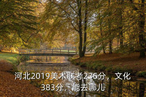 河北2019美術聯考235分，文化383分，能去哪兒