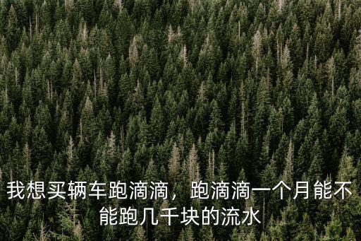 我想買輛車跑滴滴，跑滴滴一個月能不能跑幾千塊的流水