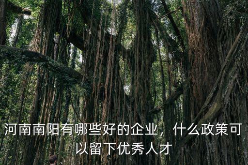 南陽哪里有求職招聘,河南南陽有哪些好的企業