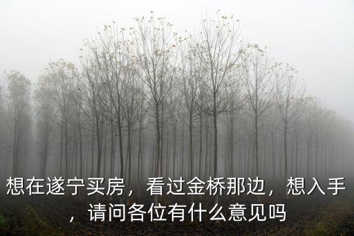 想在遂寧買房，看過金橋那邊，想入手，請問各位有什么意見嗎