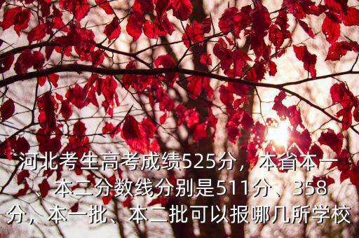 河北學(xué)生高考總分是多少分,河北考生高考成績525分