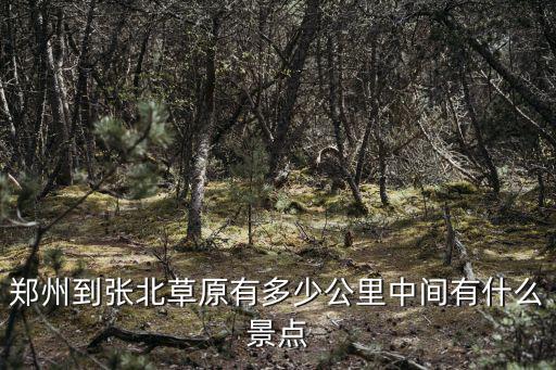 鄭州離承德有多少公里,鄭州到張北草原有多少公里