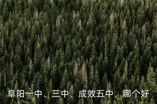 阜陽一中、三中、成效五中，哪個(gè)好
