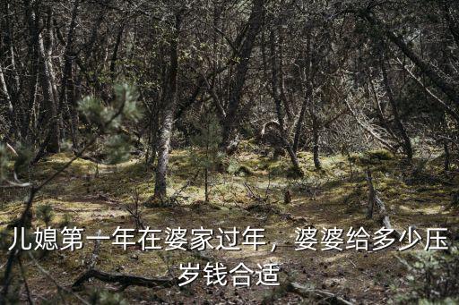 兒媳第一年在婆家過年，婆婆給多少壓歲錢合適