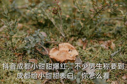 成都小甜甜在哪里開(kāi)直播,抖音成都小甜甜爆紅