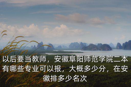 以后要當教師，安徽阜陽師范學院二本有哪些專業可以報，大概多少分，在安徽排多少名次