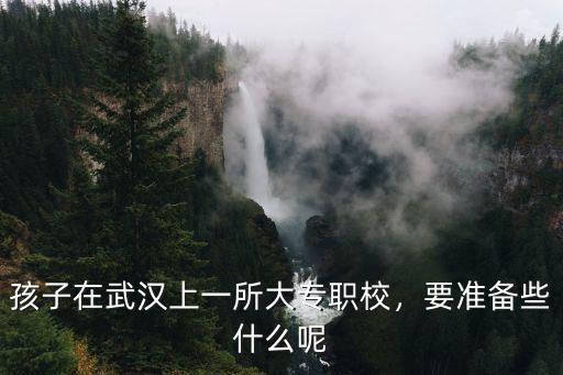 孩子在武漢上一所大專職校，要準備些什么呢