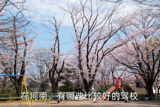 河南哪里考駕照比較好,考駕照哪個(gè)省市比較輕松