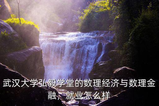 武漢大學弘毅學堂的數理經濟與數理金融，就業怎么樣