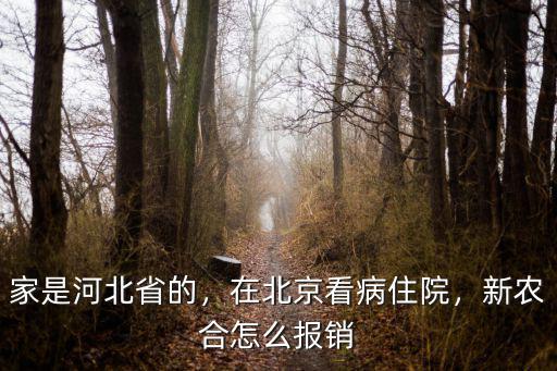 河北省去北京看病報銷多少,在北京看病住院