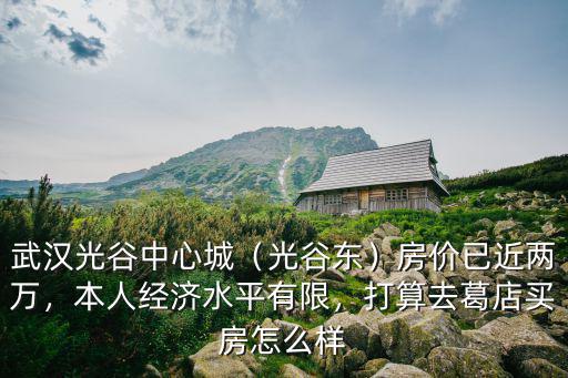 武漢光谷生物城工作怎么樣,武漢光谷中心城