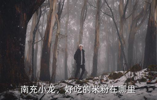 南充小龍，好吃的米粉在哪里