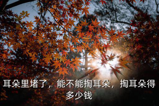 耳朵里堵了，能不能掏耳朵，掏耳朵得多少錢