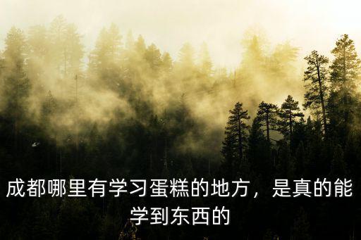 成都哪里有學(xué)糕點(diǎn)的地方,成都哪里有學(xué)習(xí)蛋糕的地方