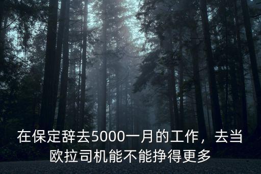 保定開(kāi)歐拉一個(gè)月能掙多少錢(qián) 自己沒(méi)車(chē),保定市區(qū)一個(gè)月工資多少啊