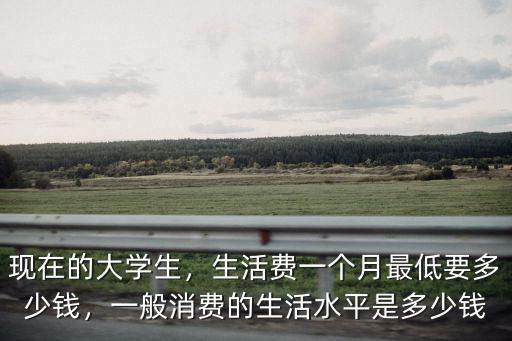 張家口大學生一個月多少錢,生活費一個月最低要多少錢