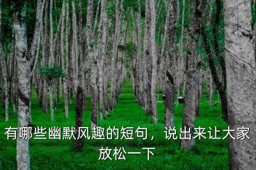 怎么看待河南風趣幽默的話,怎樣說出幽默風趣的話語