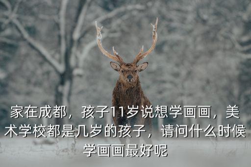 家在成都，孩子11歲說想學畫畫，美術(shù)學校都是幾歲的孩子，請問什么時候?qū)W畫畫最好呢