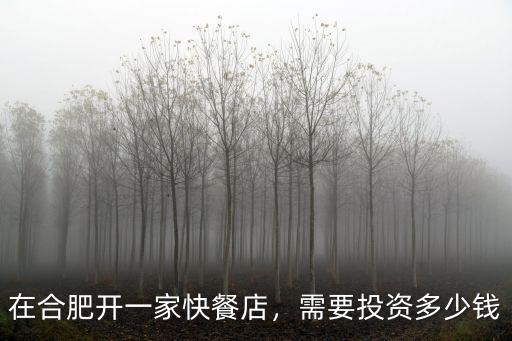 在合肥開一家快餐店，需要投資多少錢