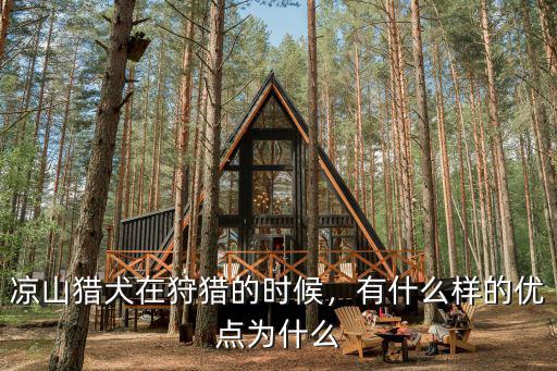重慶石柱縣哪里有涼山獵犬賣,涼山犬這種獵犬哪里有