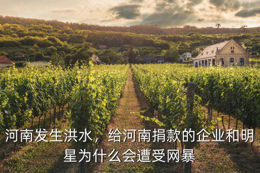 河南發(fā)生洪水，給河南捐款的企業(yè)和明星為什么會遭受網(wǎng)暴