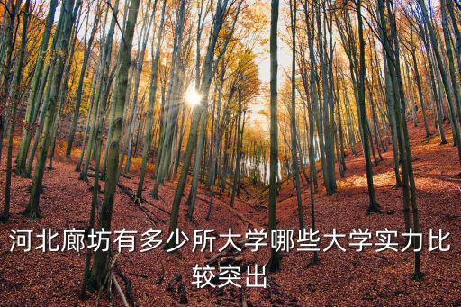 河北廊坊有多少所大學哪些大學實力比較突出