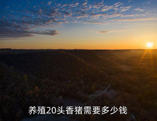 蕪湖市香豬苗多少錢一頭豬,養殖20頭香豬需要多少錢