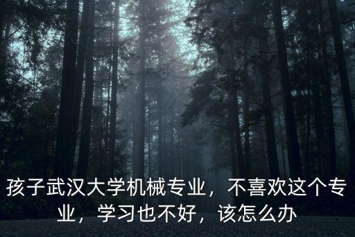 武漢大學考研機械專業怎么樣,武漢大學機械專業怎么樣