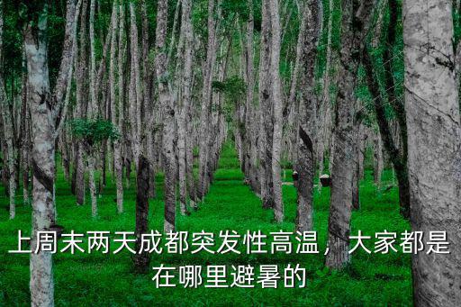 成都避暑天堂在哪里,成都附近避暑哪里最好