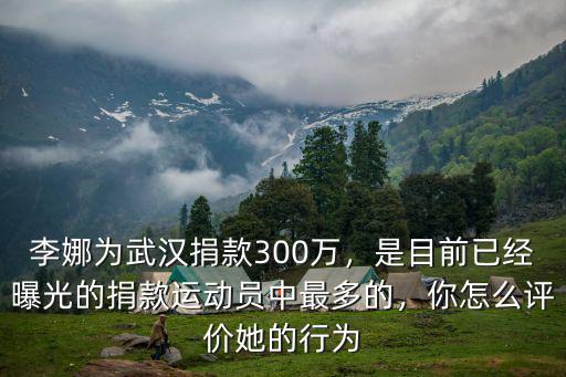 給武漢捐款捐物的人怎么稱呼,沒給武漢捐錢捐物